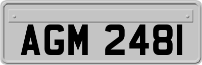 AGM2481