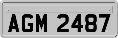 AGM2487