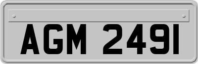 AGM2491