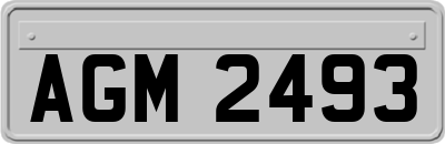 AGM2493