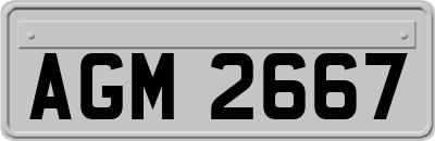 AGM2667