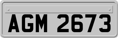 AGM2673