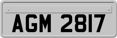 AGM2817
