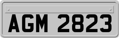 AGM2823