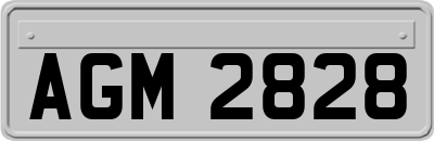 AGM2828
