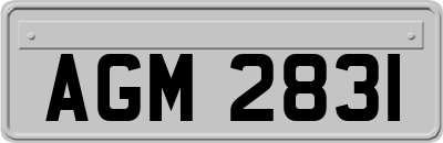 AGM2831