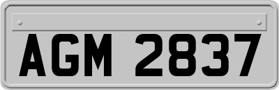 AGM2837
