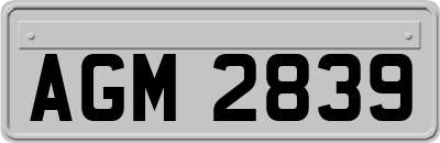 AGM2839