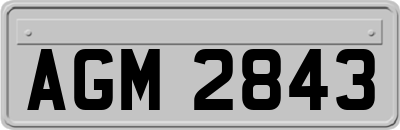 AGM2843