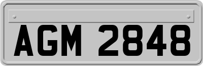 AGM2848