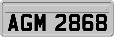 AGM2868