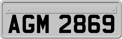 AGM2869
