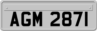 AGM2871