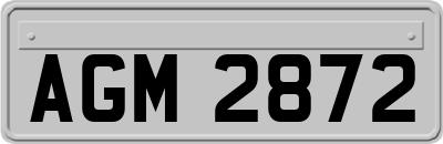 AGM2872