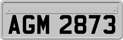 AGM2873