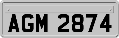 AGM2874