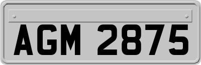 AGM2875