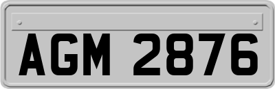 AGM2876