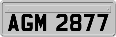 AGM2877