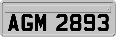 AGM2893