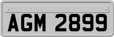AGM2899