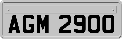 AGM2900