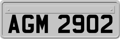 AGM2902