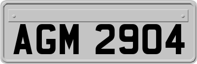 AGM2904