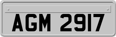 AGM2917