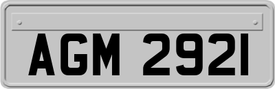 AGM2921