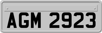 AGM2923