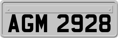 AGM2928