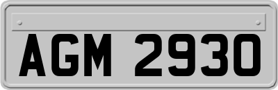 AGM2930