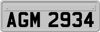 AGM2934