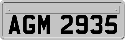 AGM2935