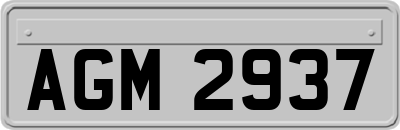 AGM2937