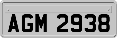 AGM2938