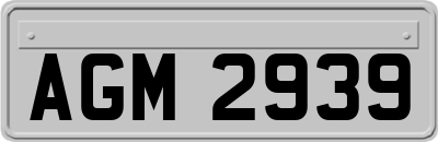 AGM2939