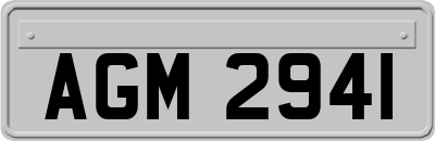 AGM2941