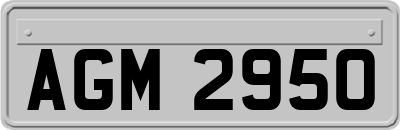 AGM2950