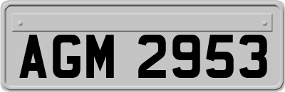 AGM2953
