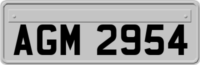 AGM2954
