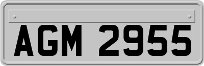 AGM2955
