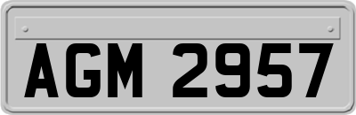 AGM2957
