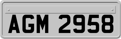 AGM2958