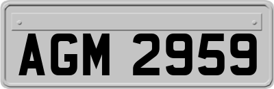 AGM2959