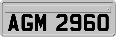 AGM2960
