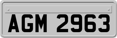 AGM2963