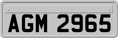 AGM2965