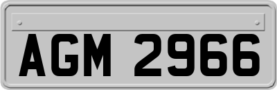 AGM2966